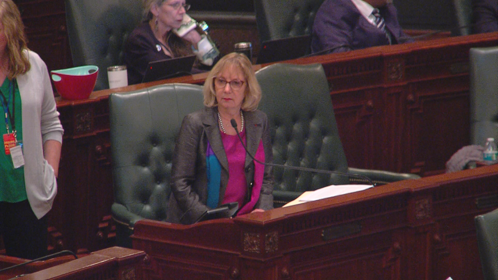 Rep. Robyn Gabel